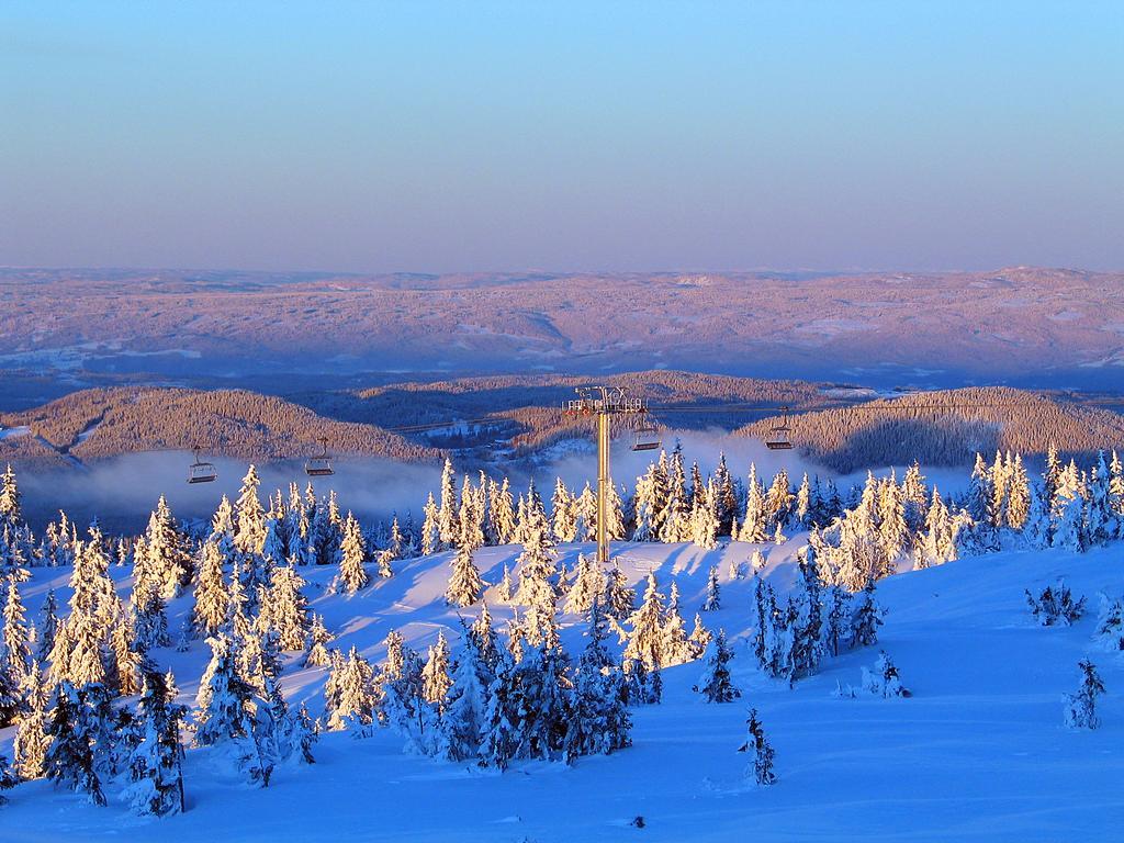 Sjusjoen Hytteutleie As المظهر الخارجي الصورة