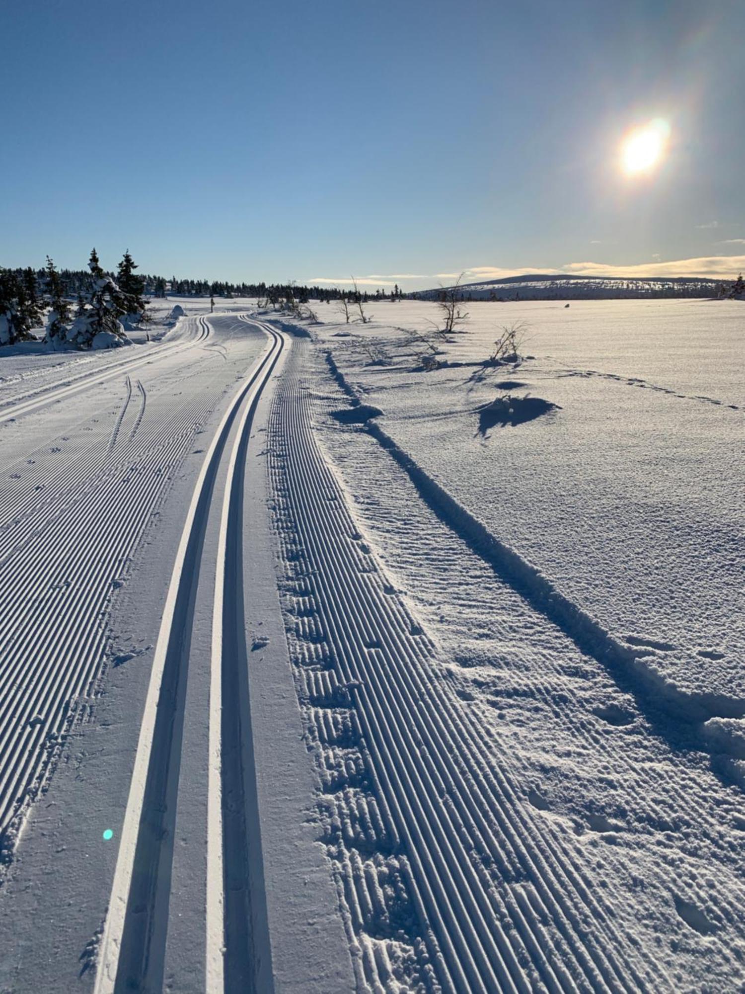 Sjusjoen Hytteutleie As المظهر الخارجي الصورة