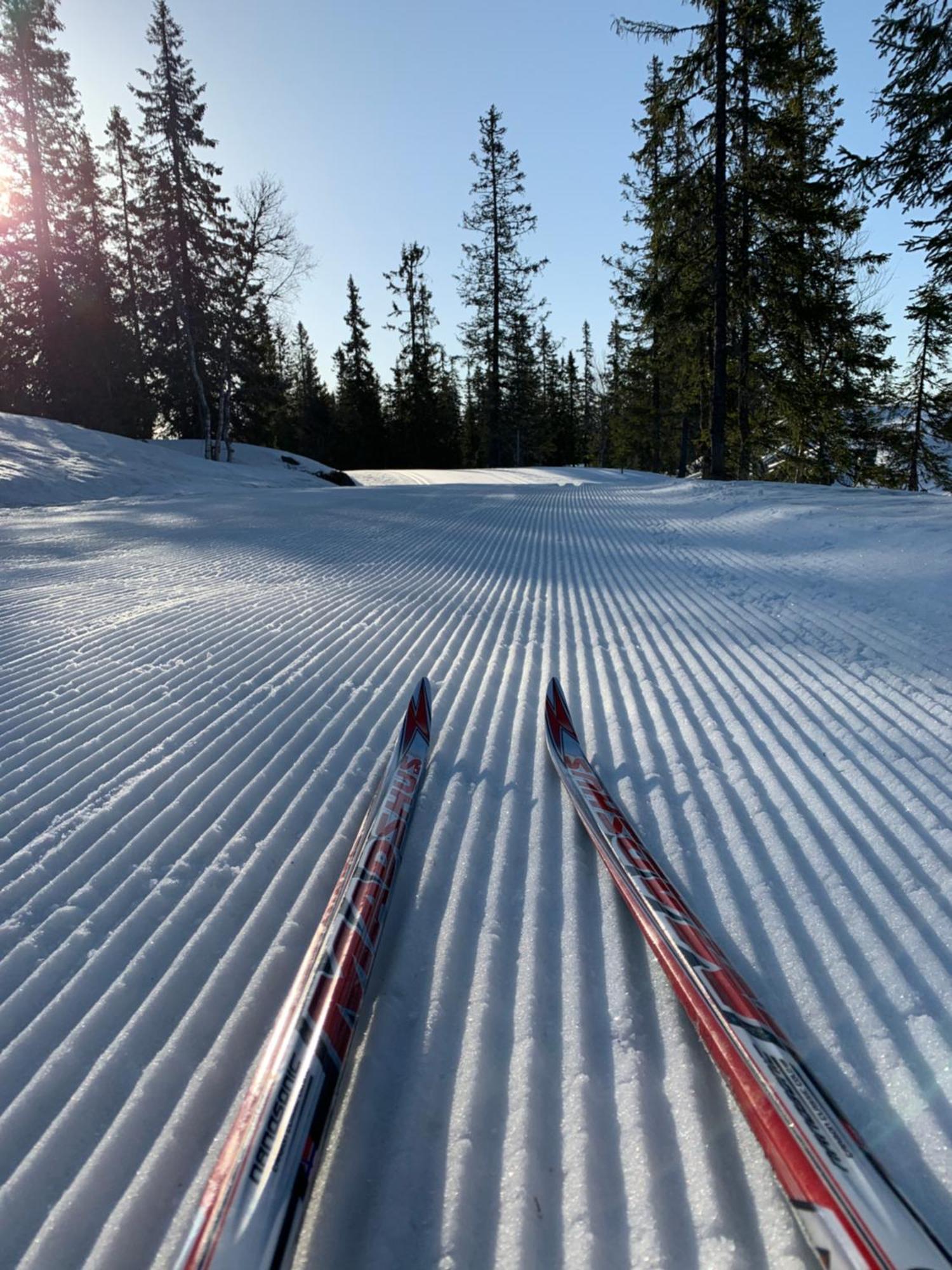 Sjusjoen Hytteutleie As المظهر الخارجي الصورة